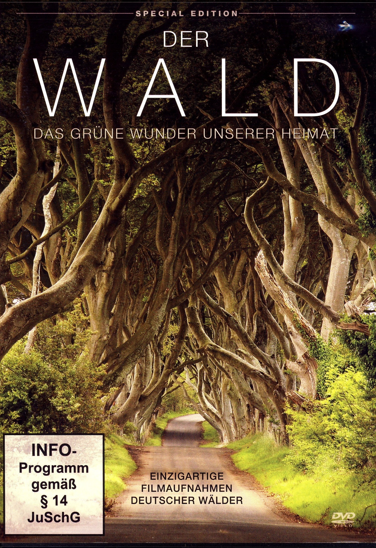 DER WALD - Das grüne Wunder unserer Heimat - Special Edition Films