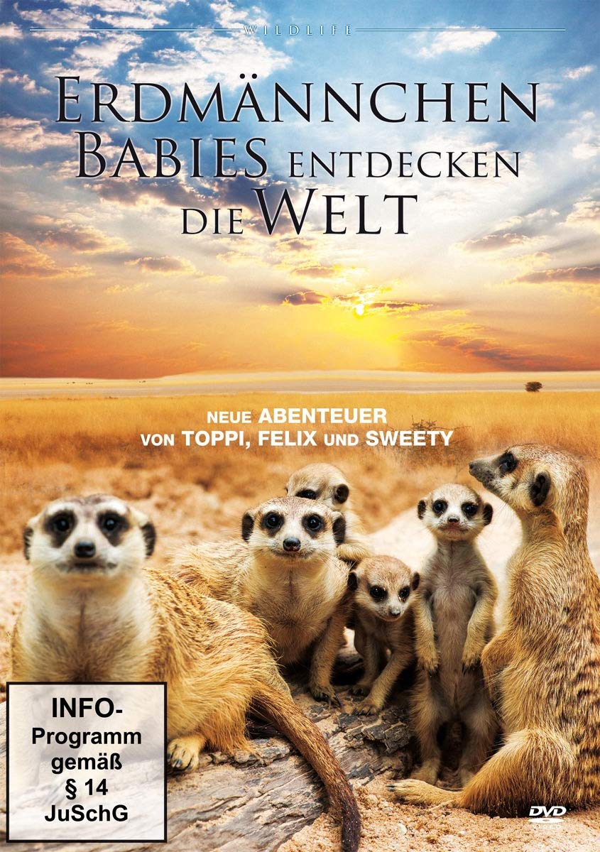 Erdmännchen-Babies Entdecken die Welt Movies