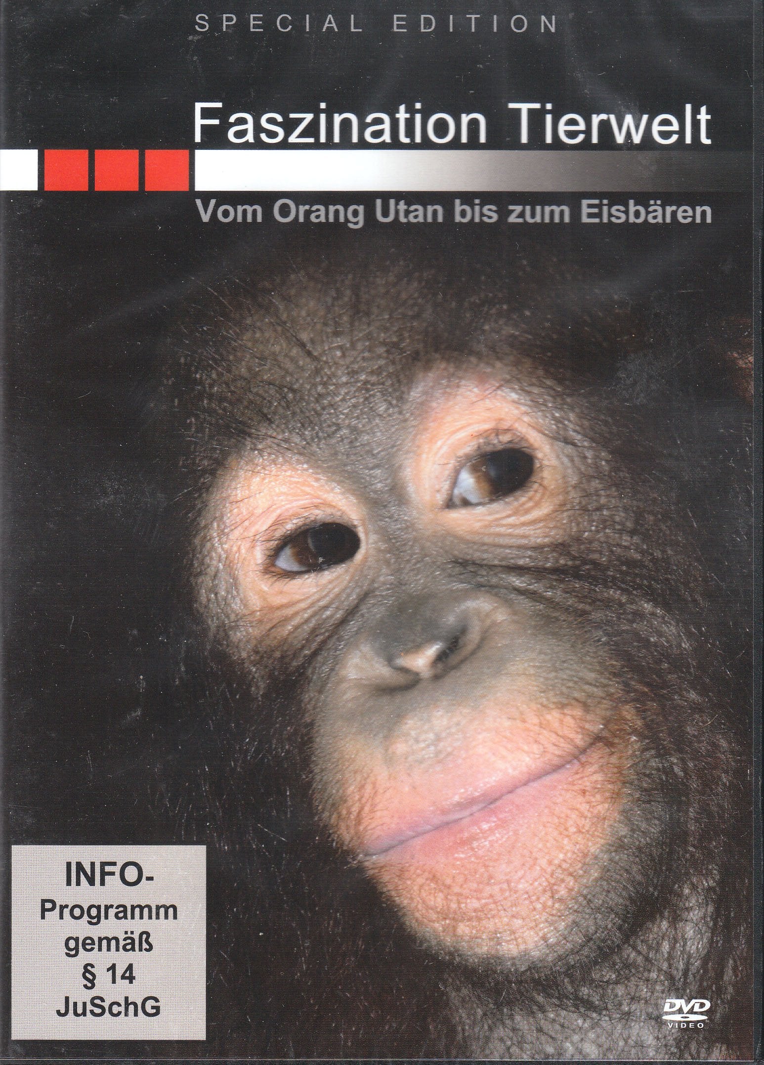 Faszination Tierwelt - Vom Orang-Utan bis zum Eisbären Films