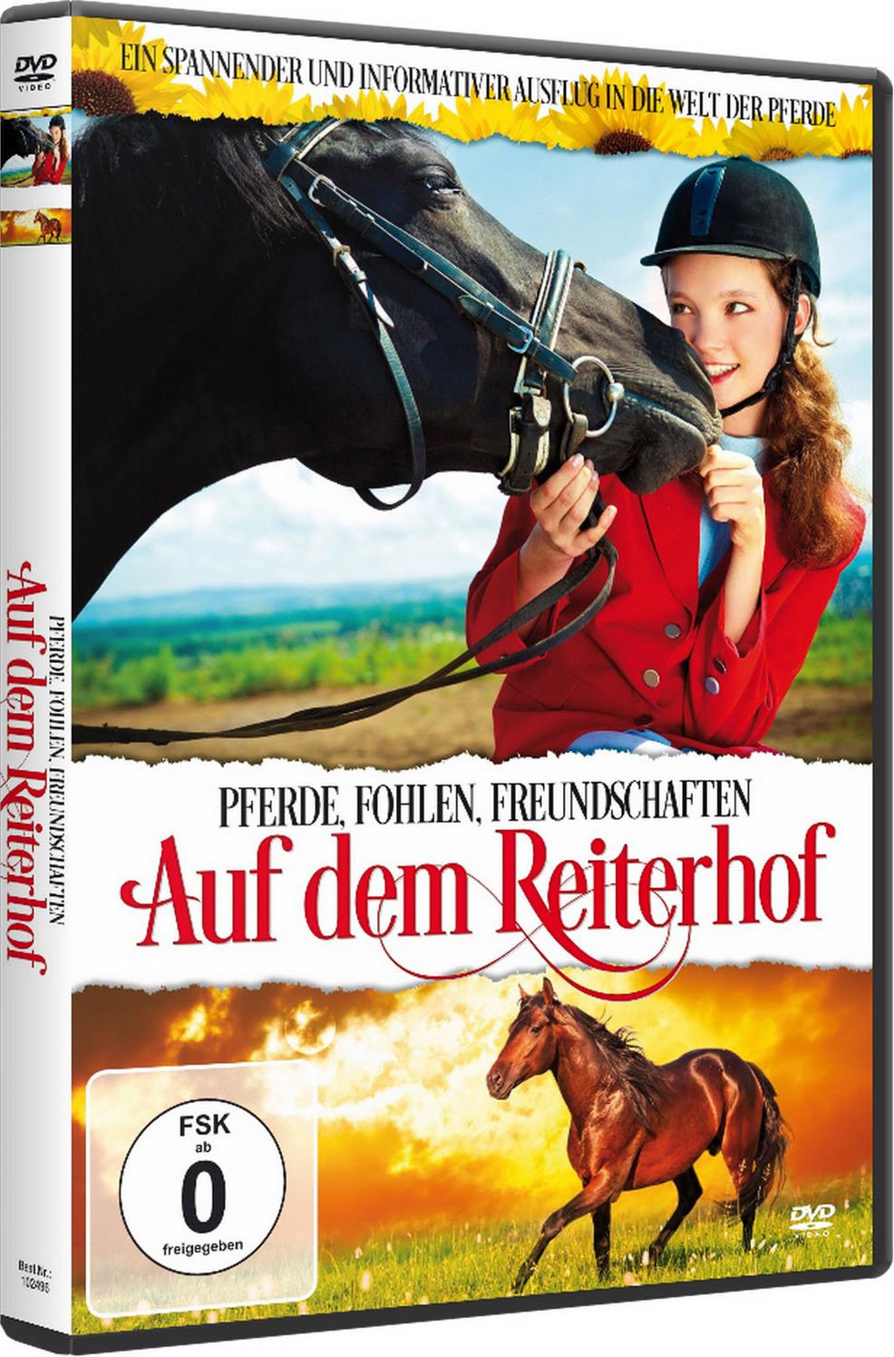 Auf dem Reiterhof - Pferde, Fohlen, Freundschaften (DVD) Movies