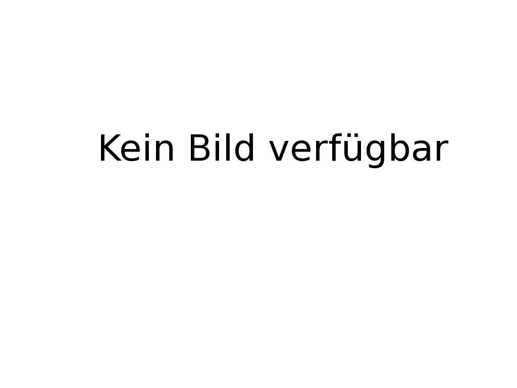 Hundstage - Die Geschichte eines Bankraubes Films