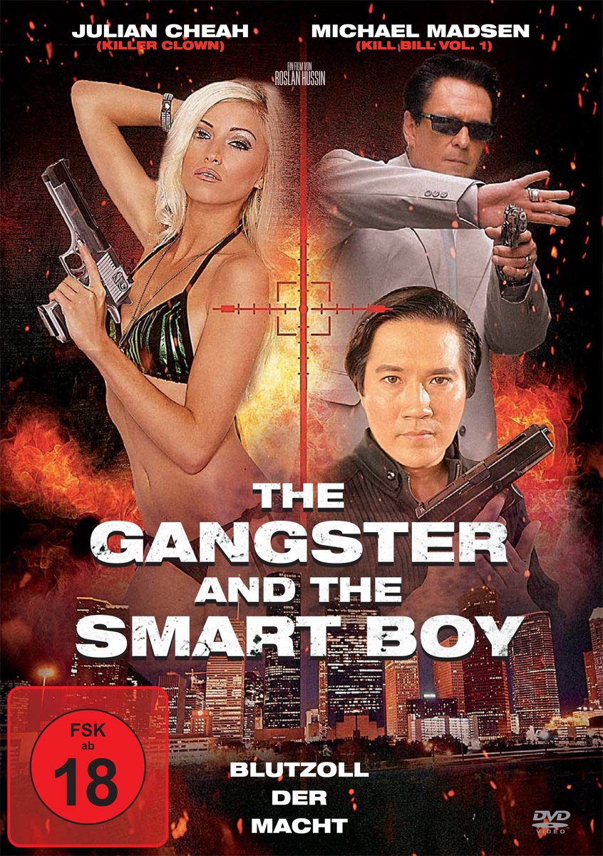 The Gangster and the Smart Boy (Dvd) Films