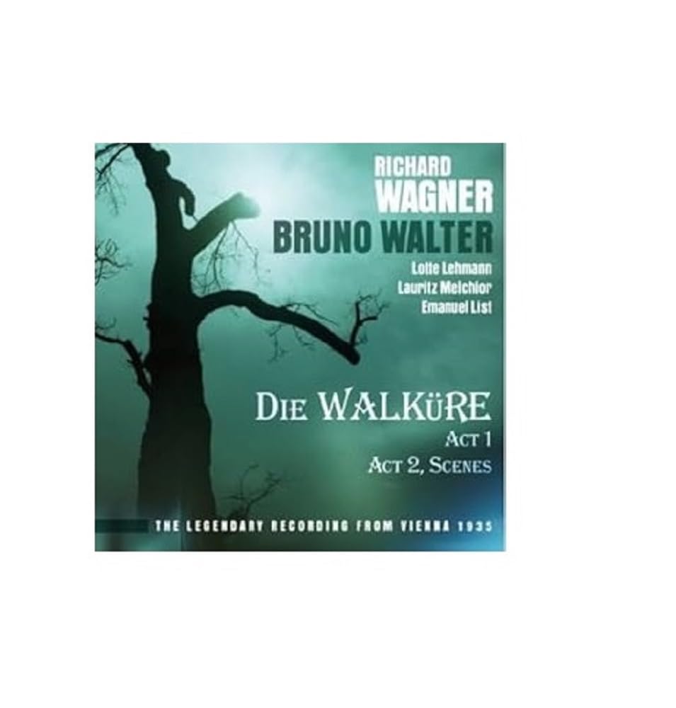 Product Image: Wagner: Die Walküre,Act 1
