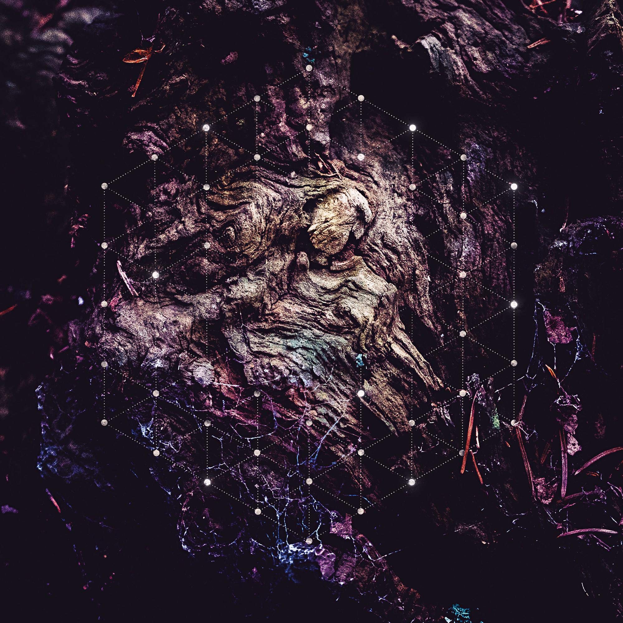Product Image: Unfold the God Man