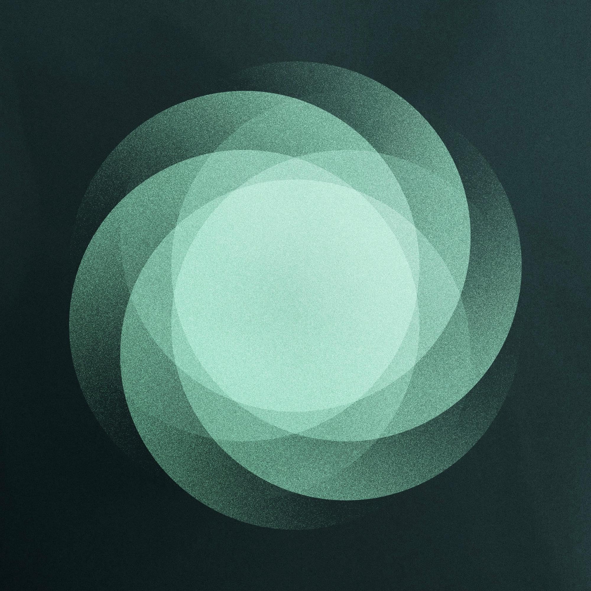 Product Image: The Shape of Everything