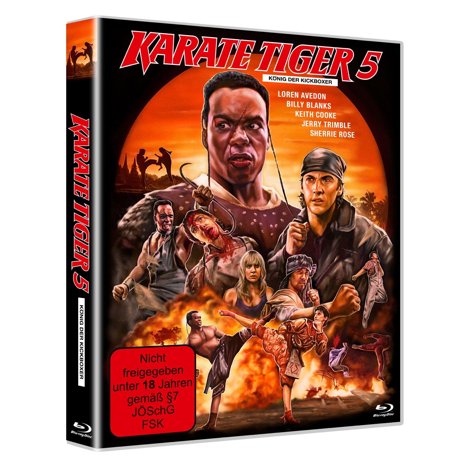 Karate Tiger 5 - König der Kickboxer - Scanavo Edition Films