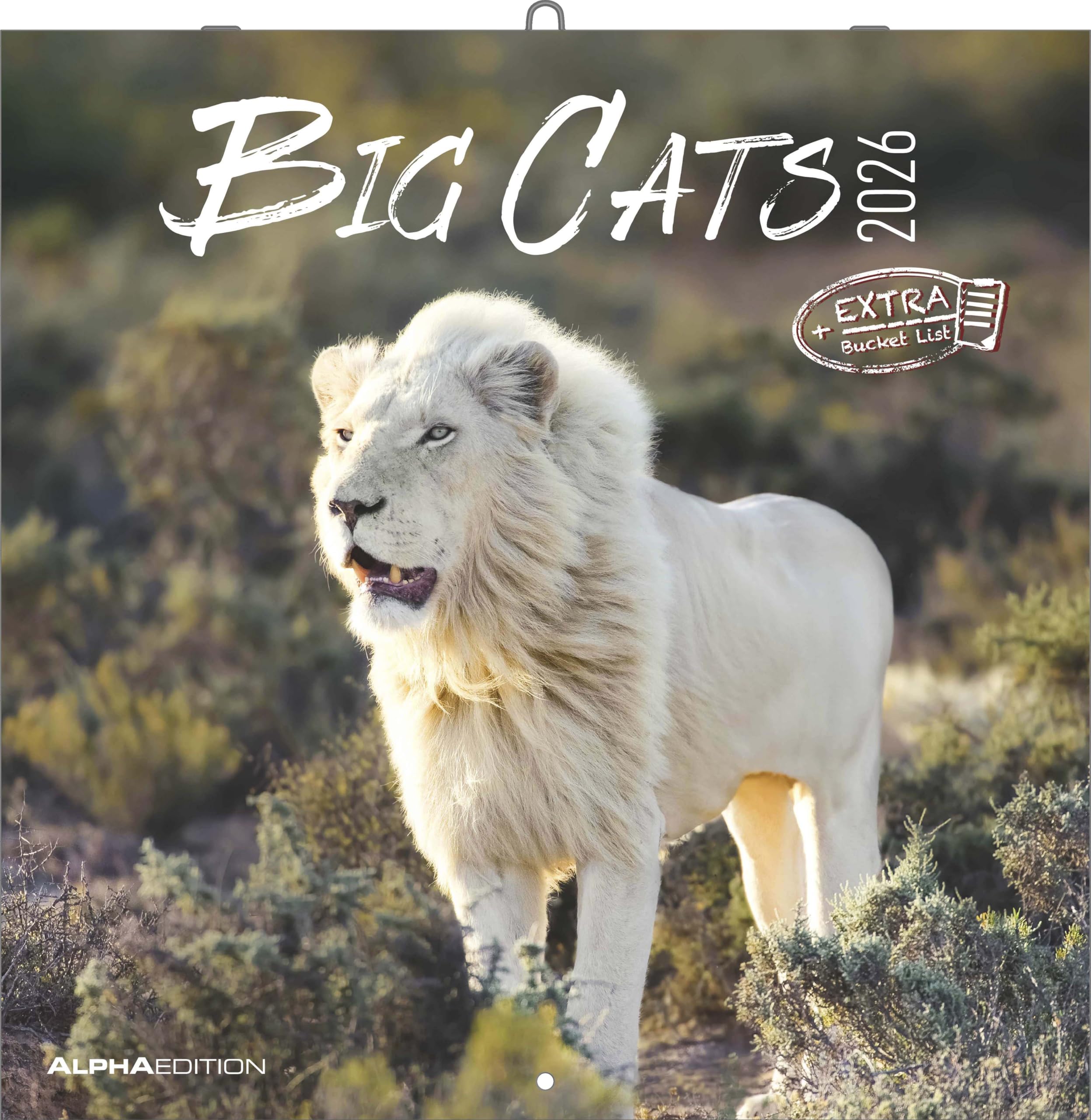 Big Cats 2026 - Broschürenkalender 30x30 cm (30x60 geöffnet) - Kalender mit Platz für Notizen - Big Cats - Bildkalender - Wandplaner - Alpha Edition: Big Cats Leisure, Home & Garden