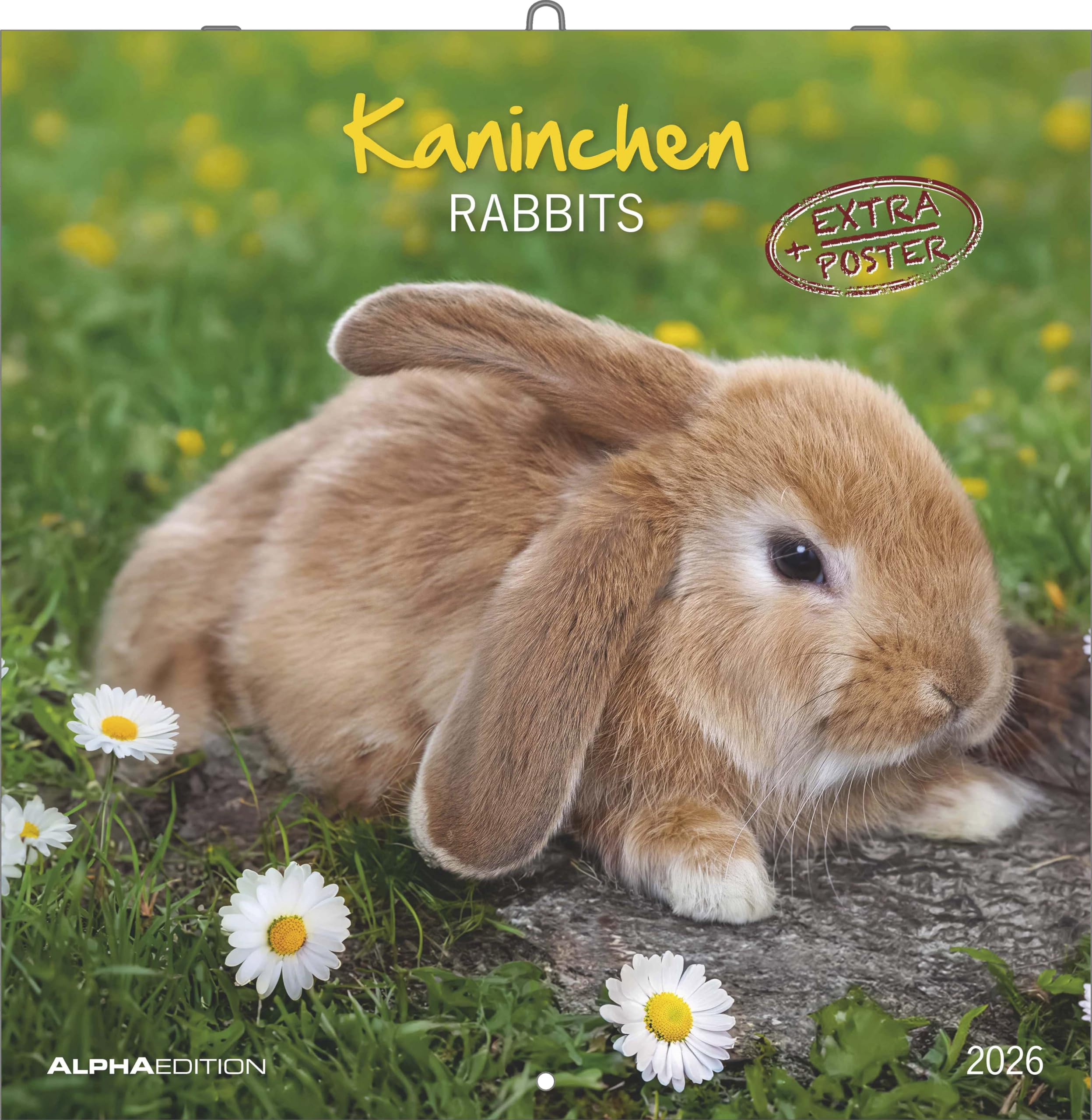 Kaninchen 2026 - Broschürenkalender 30x30 cm (30x60 geöffnet) - Kalender mit Platz für Notizen - Rabbits - Bildkalender - Wandplaner - Wandkalender: Rabbits Pets
