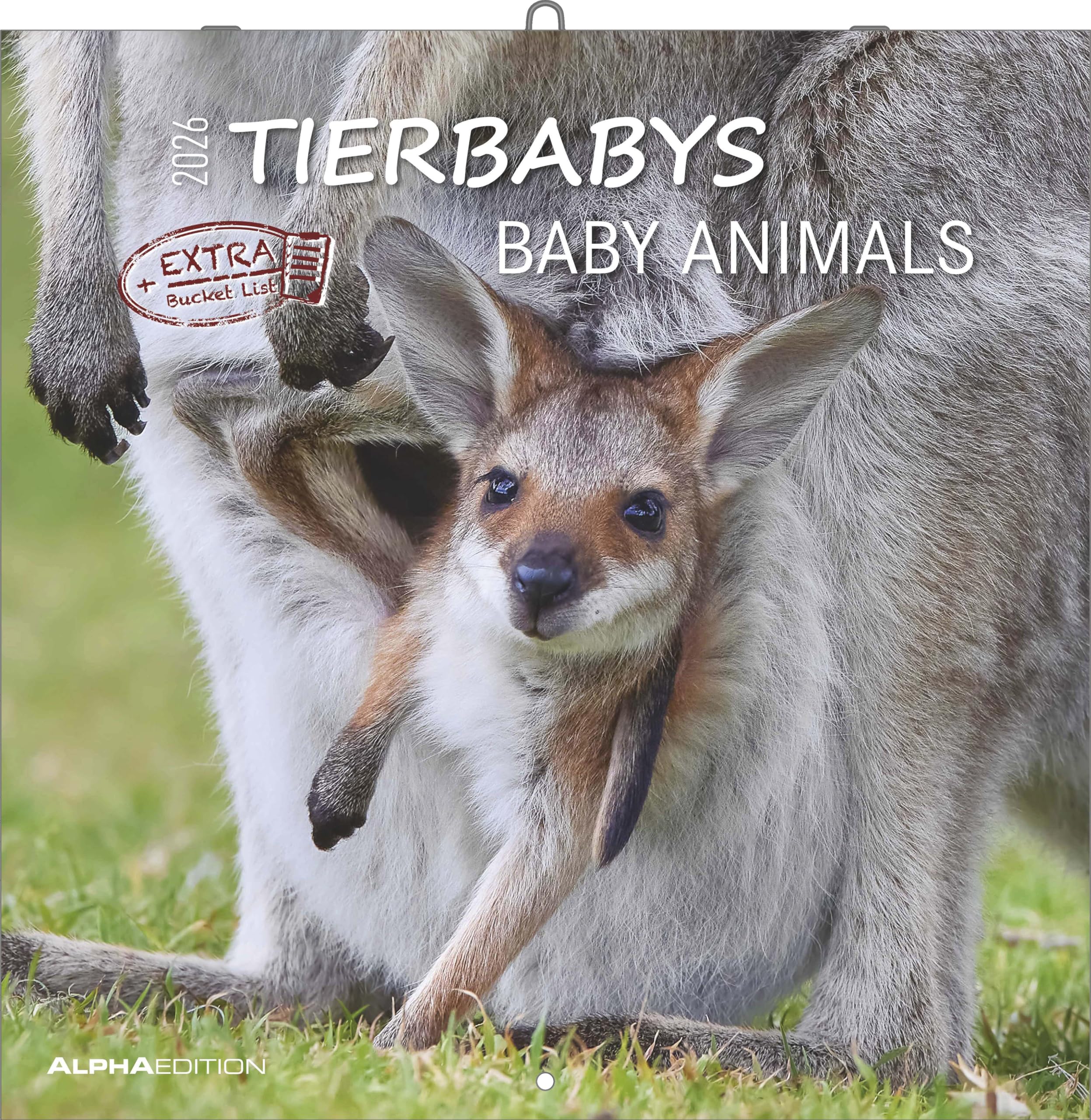 Tierbabys 2026 - Broschürenkalender 30x30 cm (30x60 geöffnet) - Kalender mit Platz für Notizen - Baby Animals - Bildkalender - Wandplaner - Alpha Edition: Baby Animals Leisure, Home & Garden