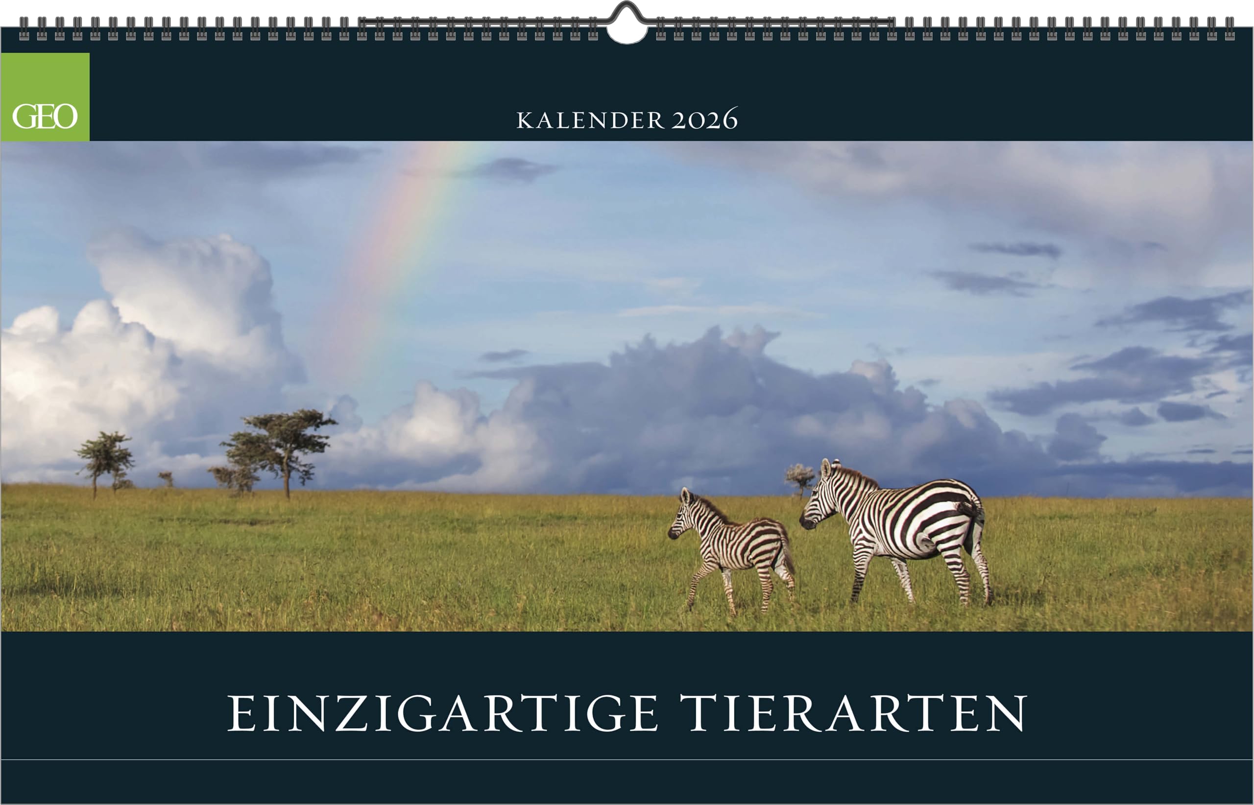 GEO - Einzigartige Tierarten 2026 – Wandkalender 58x36 cm, Poster-Kalender mit 12 Monatsblättern, deutschem Kalendarium & Spiralbindung, Tier-Fotografie-Kalender bedrohter Arten Leisure, Home & Garden