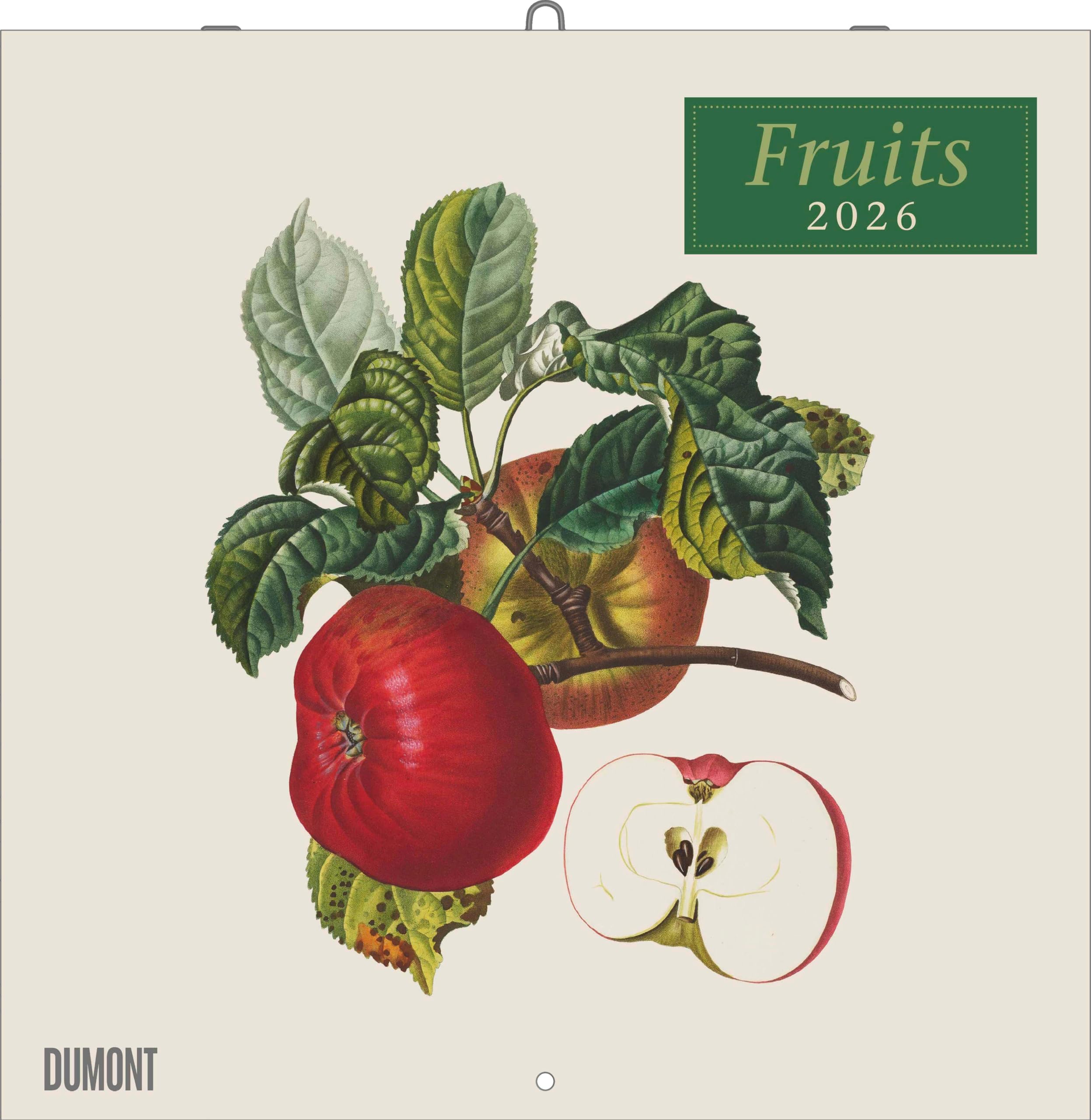 Fruits 2026 ‒ Broschürenkalender ‒ mit historischen Abbildungen alter Obstsorten von Pierre Antoine Poiteau ‒ Format 30 x 30 cm Film, Art & Culture