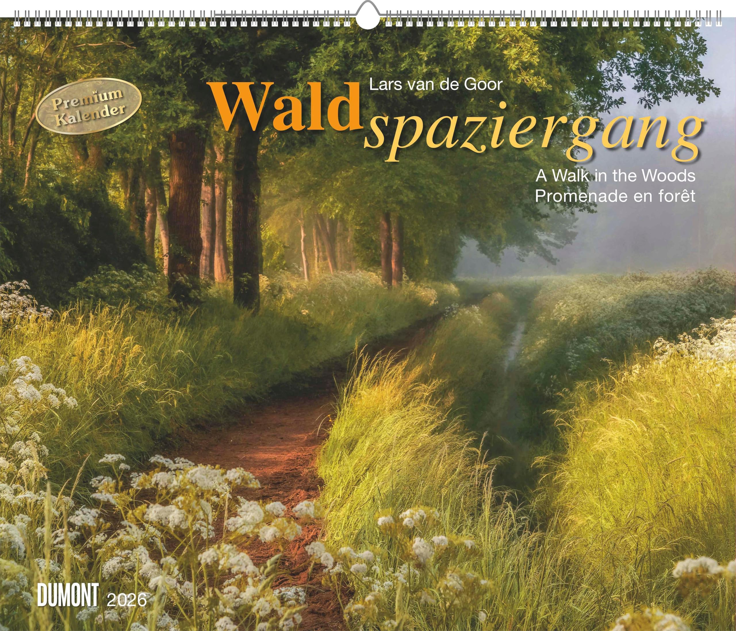 Waldspaziergang 2026 – Fotokunst-Kalender – Querformat 60 x 50 cm – Spiralbindung: A walk in the Woods Promenade en foret Leisure, Home & Garden