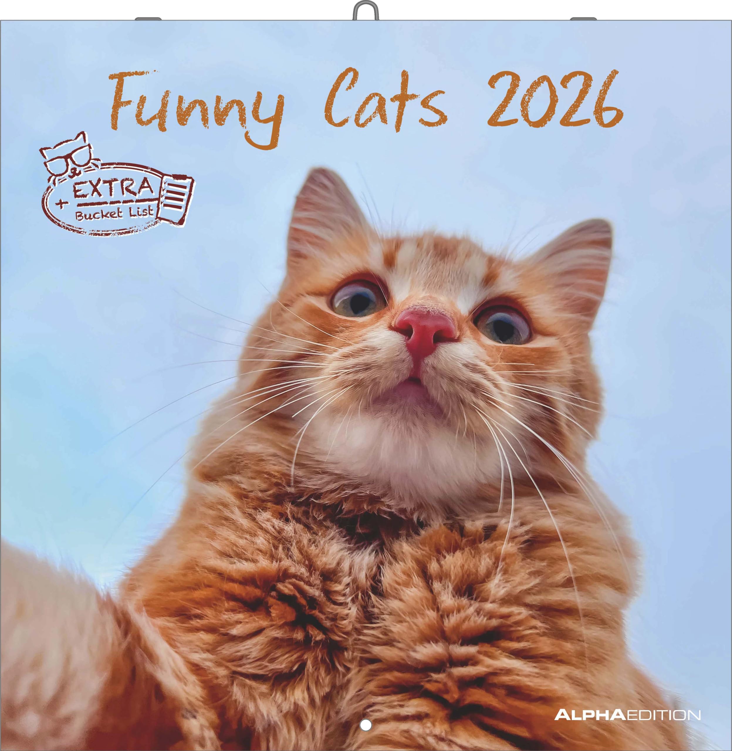 Funny Cats 2026 - Broschürenkalender 30x30 cm (30x60 geöffnet) - Kalender mit Platz für Notizen - Katzen - Bildkalender - Wandplaner - Katzenkalender Pets