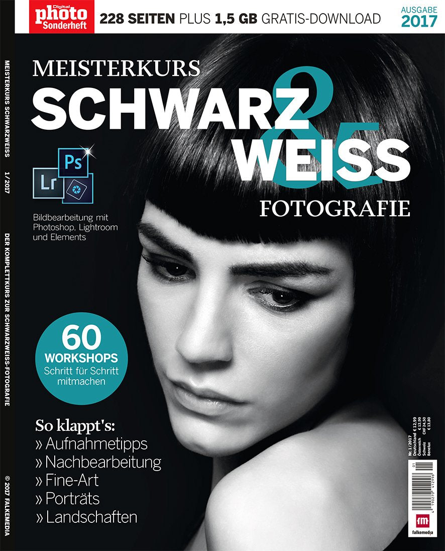 Meisterkurs Schwarz Weiss Fotografie Photoshop Lightroom und Elements Business, Finance & Career