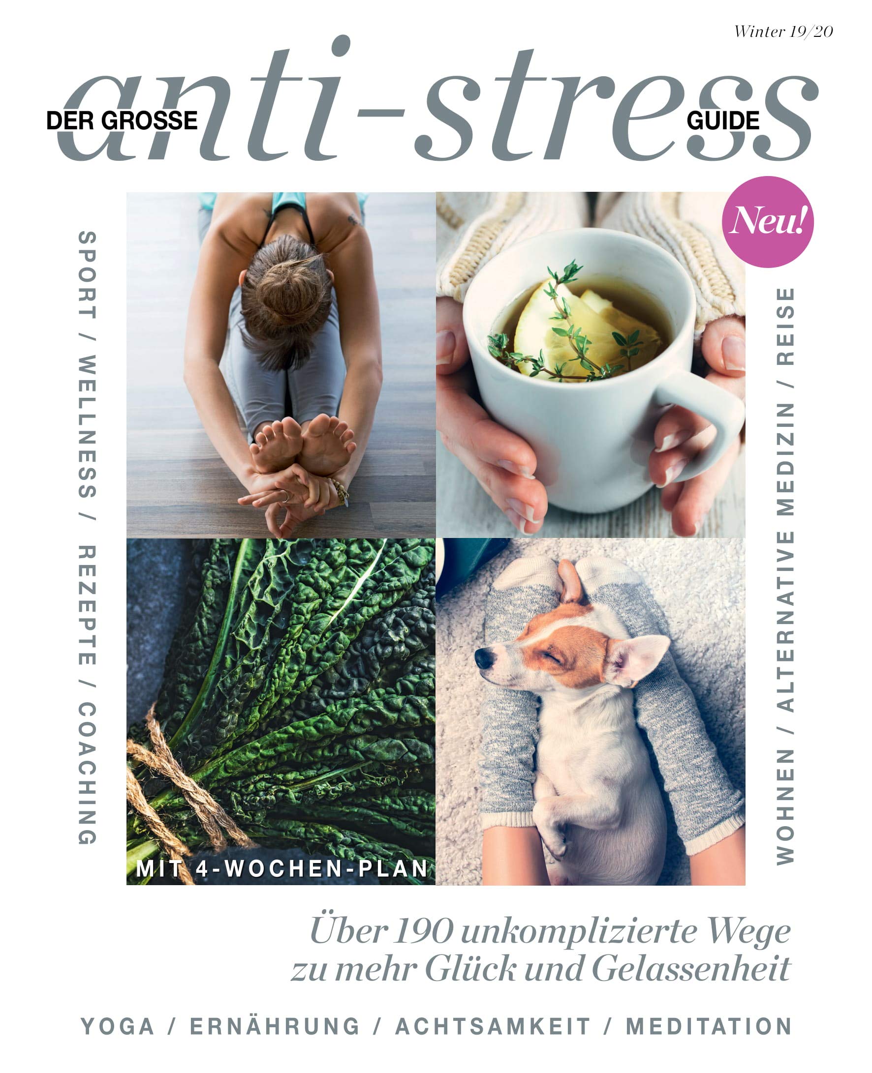 Der große Anti-Stressguide Books