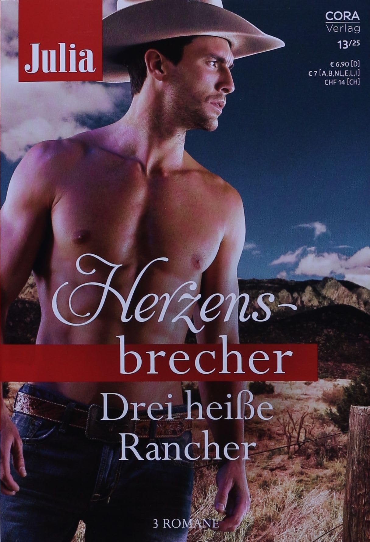 Julia Herzensbrecher Band 65: Drei heiße Rancher Contemporary literature