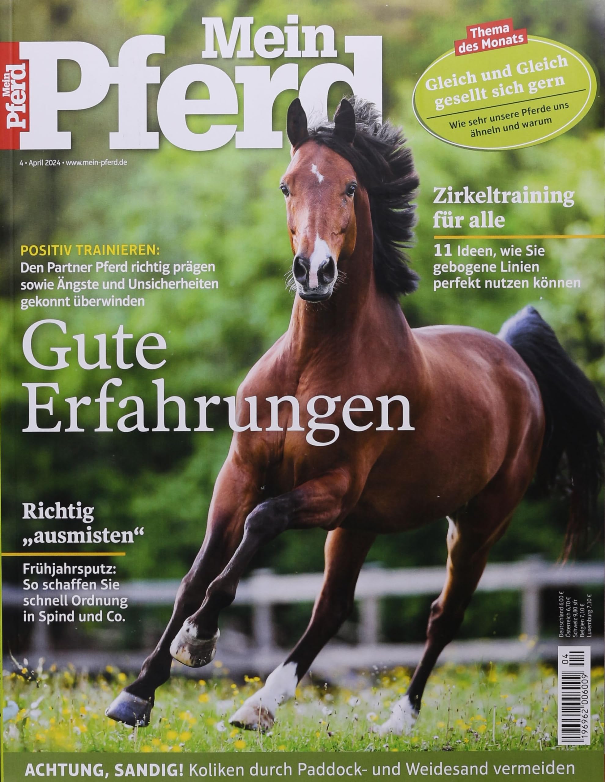 MEIN PFERD 4/2024 "Gute Erfahrungen" Leisure & Fun
