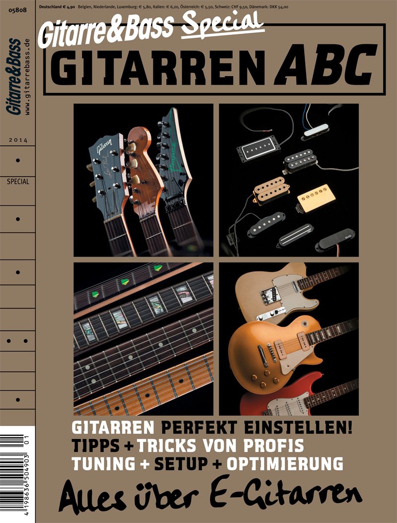Gitarren ABC: Alles über E-Gitarren (Gitarre & Bass Special) Books