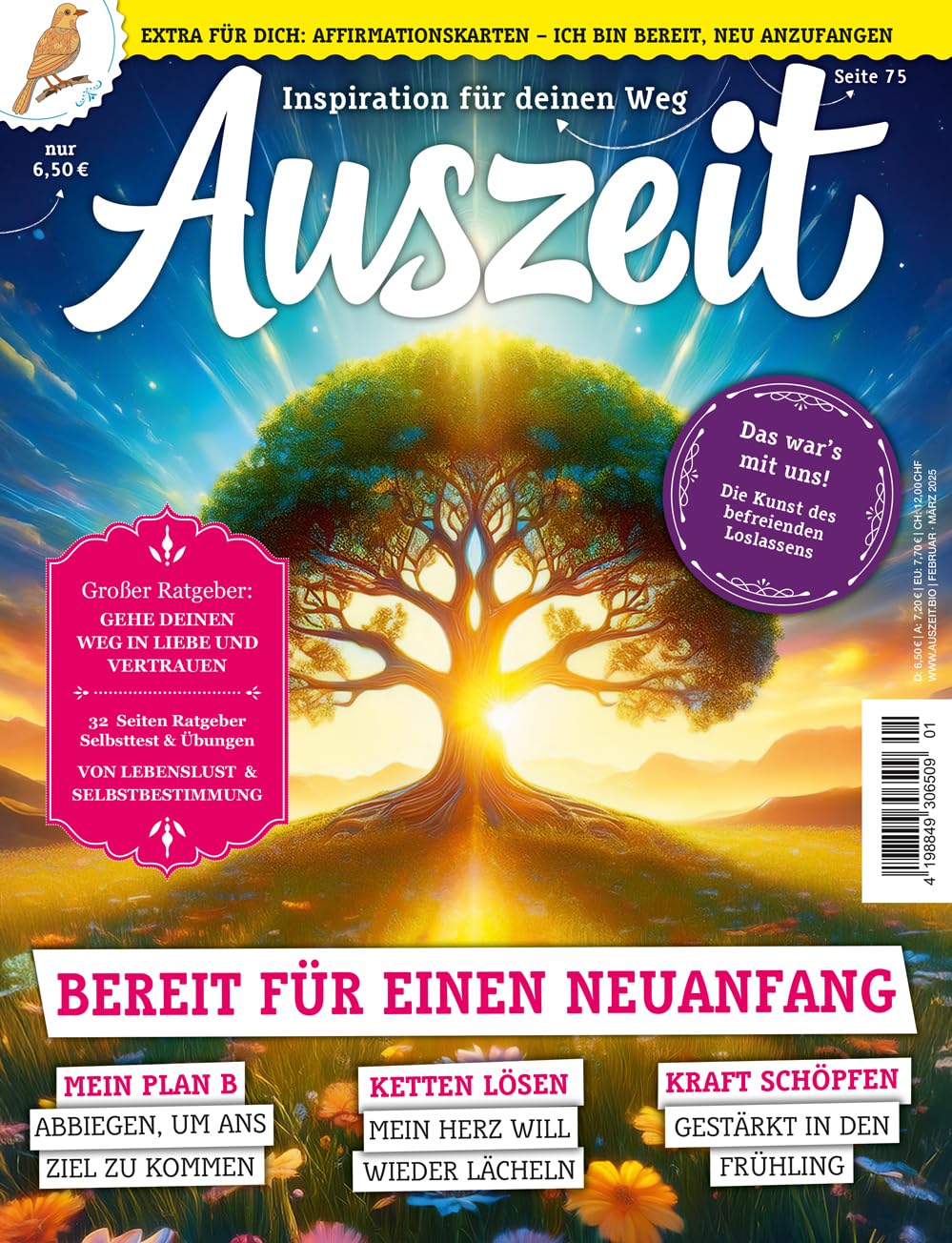 Auszeit 1/2025 "Bereit für einen Neuanfang - mit Affirmationskarten" Contemporary literature