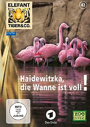 Elefant, Tiger & Co. - Teil 42 - Haidewitzka, die Wanne ist voll Box sets