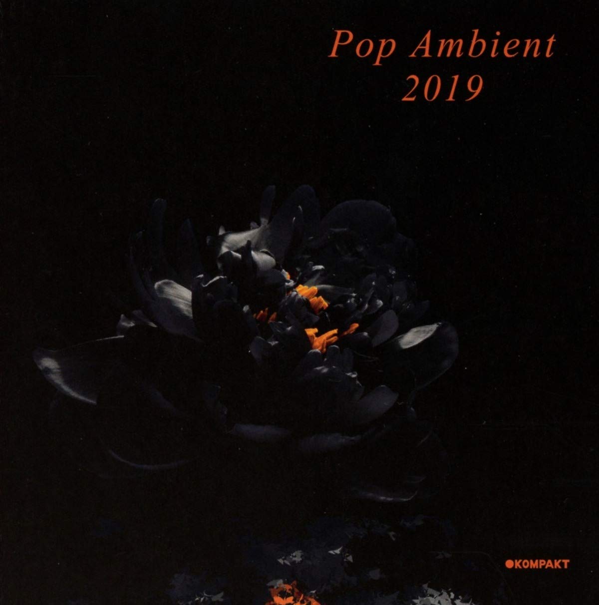 Pop Ambient 2019 Dance & Electronic