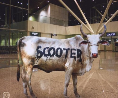 Behind the Cow Pop