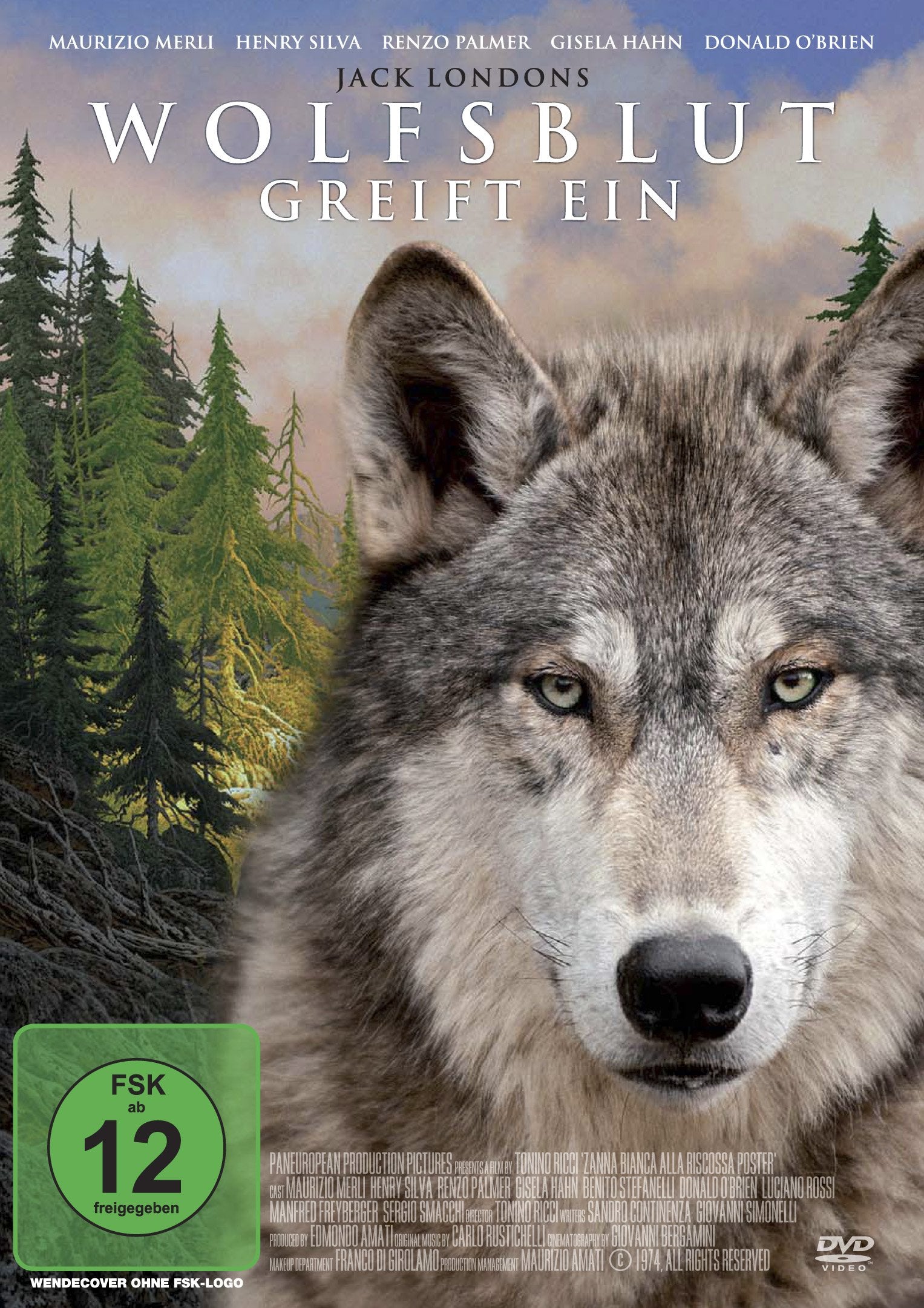 Wolfsblut greift ein Films