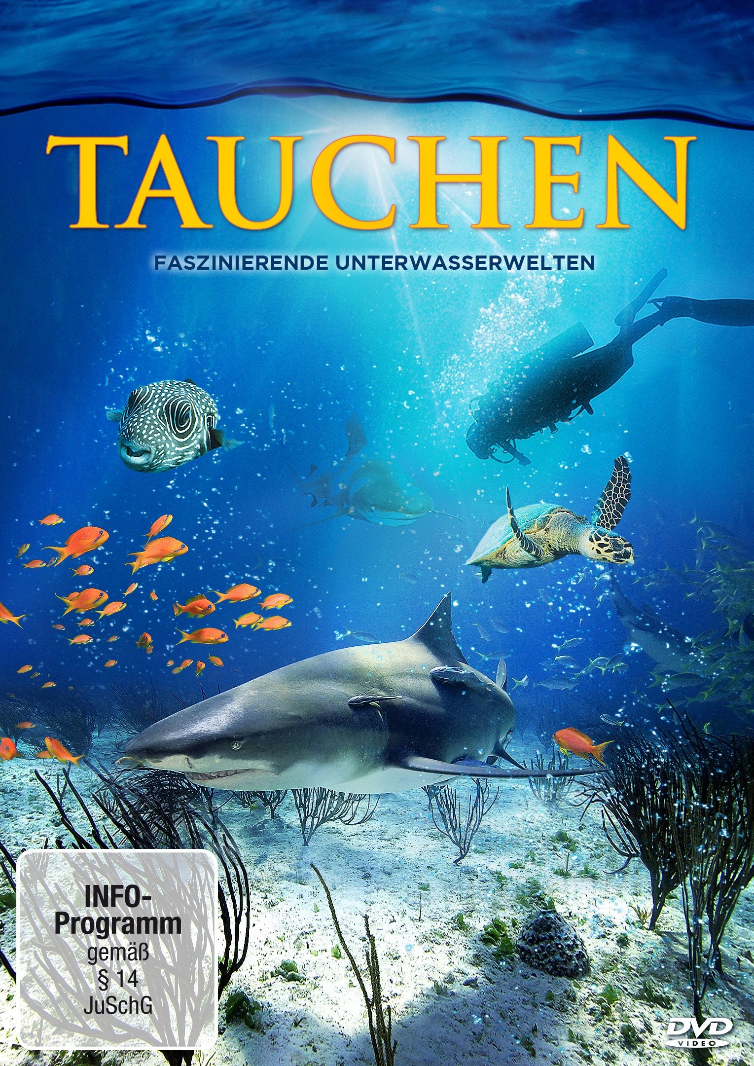 Tauchen - Faszinierende Unterwasserwelten Films
