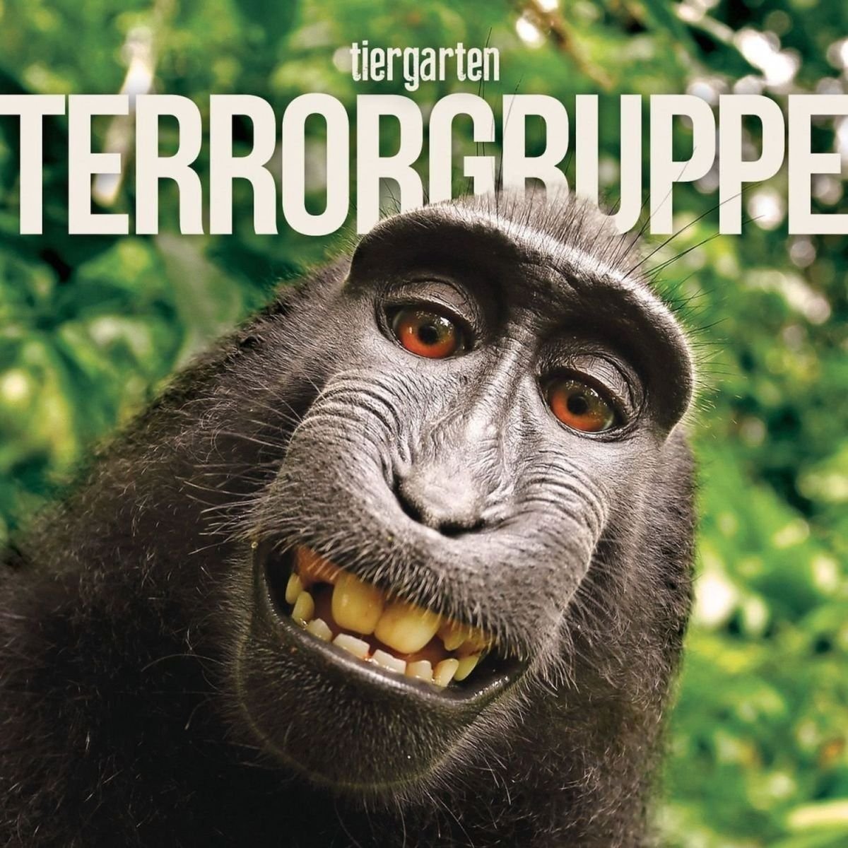 Tiergarten (+Download) Alternative & Indie