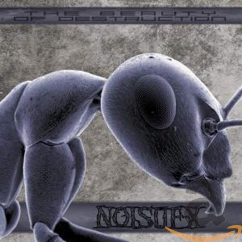 The Beauty of Destruction (New Edition) Alternative & Indie