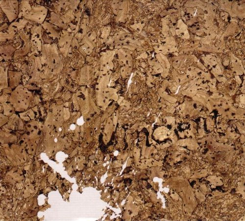 Product Image: It's Only Wasteland, Mum!
