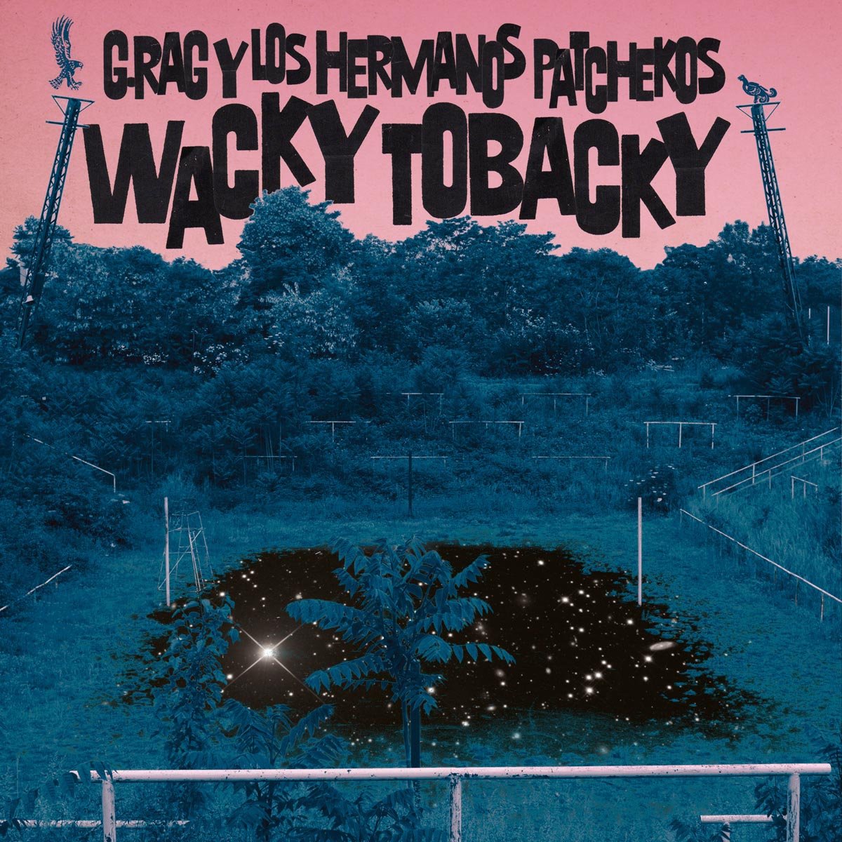 Wacky Tobacky Alternative & Indie