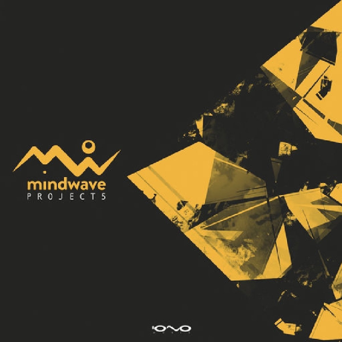 Project 5 Dance & Electronic