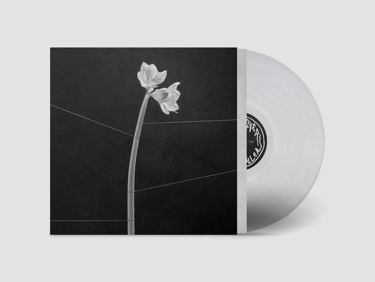 Dreamweaver (Transparent Crystal Clear Lp+Mp3) Alternative & Indie