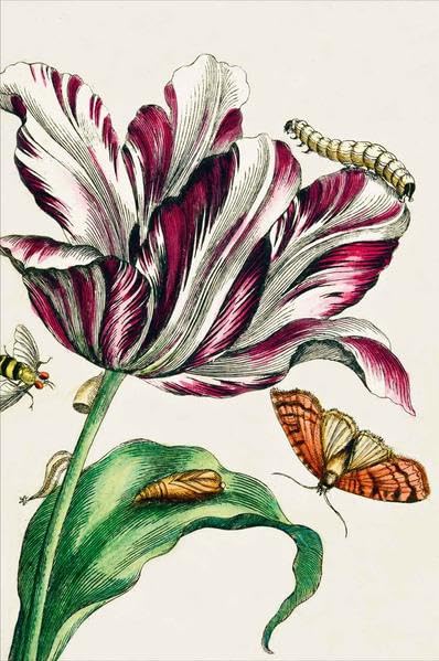 Notizbuch DIN A5 Merian-Tulpe Arts & Music