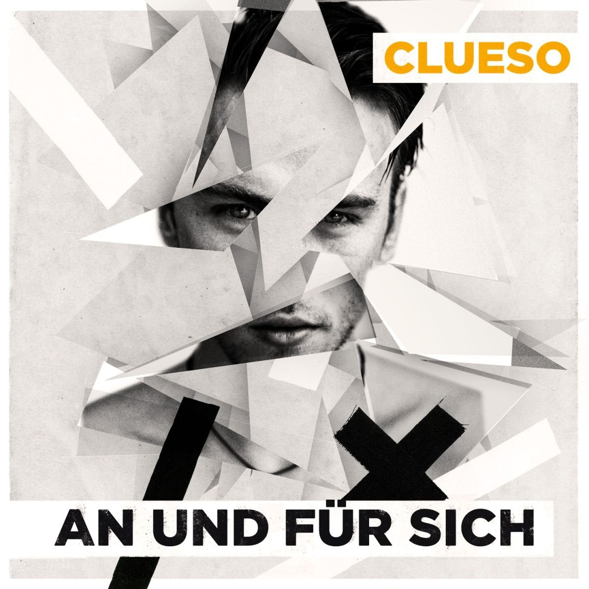 An und Für Sich (2lp+Mp3) Pop