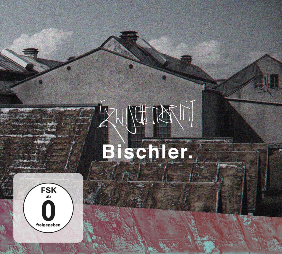 Zwischendrin (+DVD) Rock