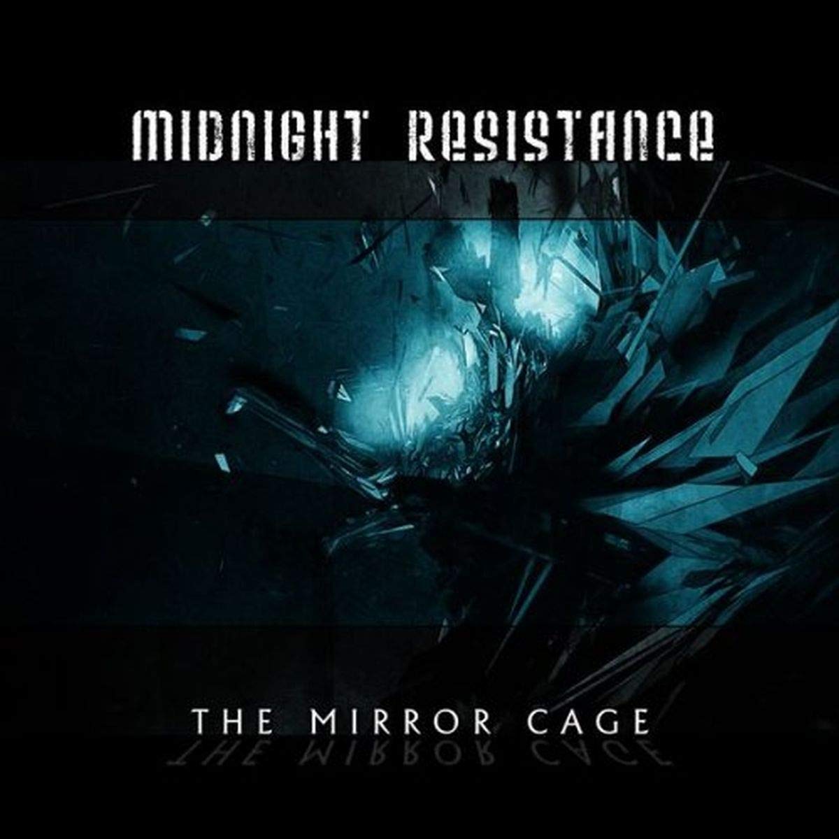 Product Image: The Mirror Cage