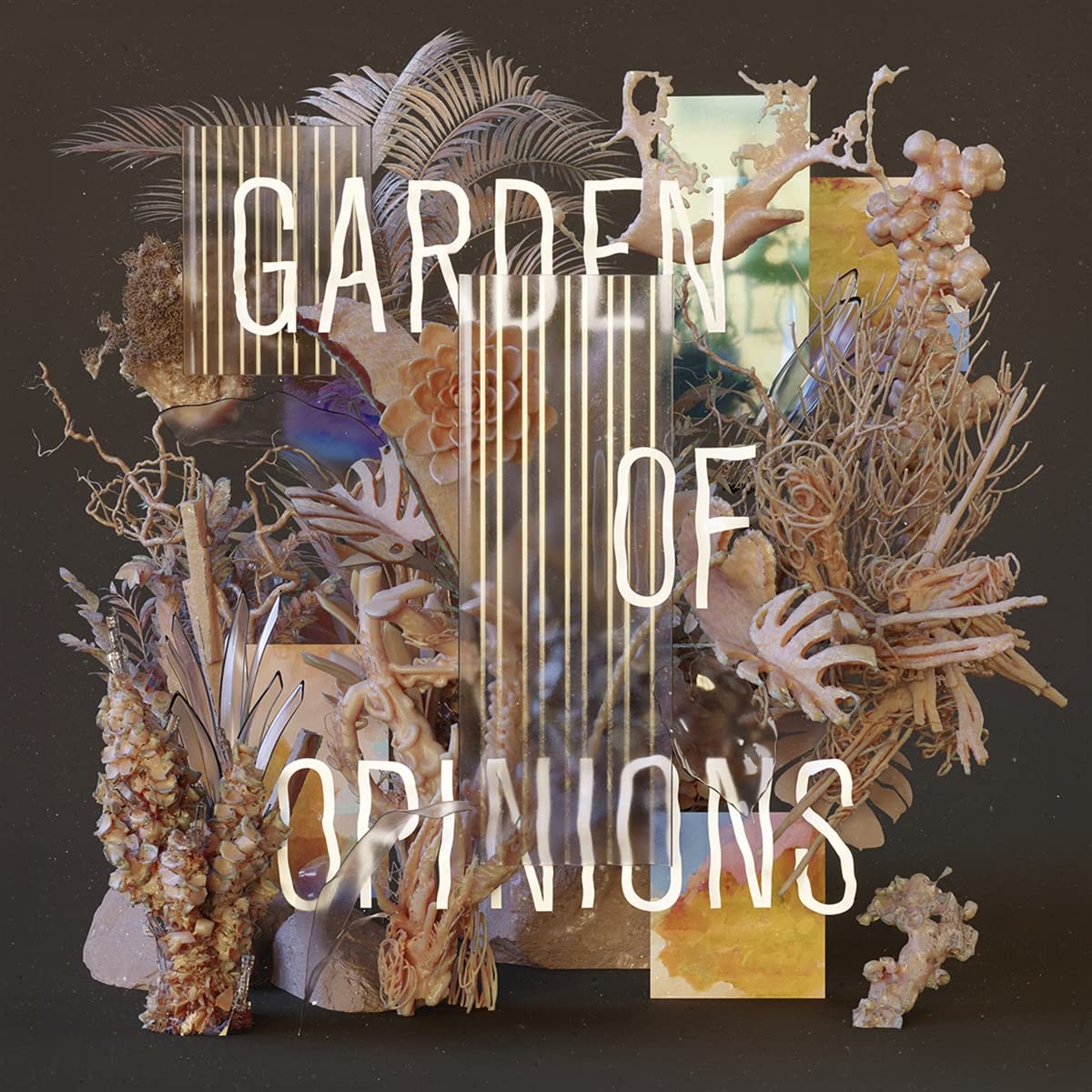 Garden Of Opinions Alternative & Indie