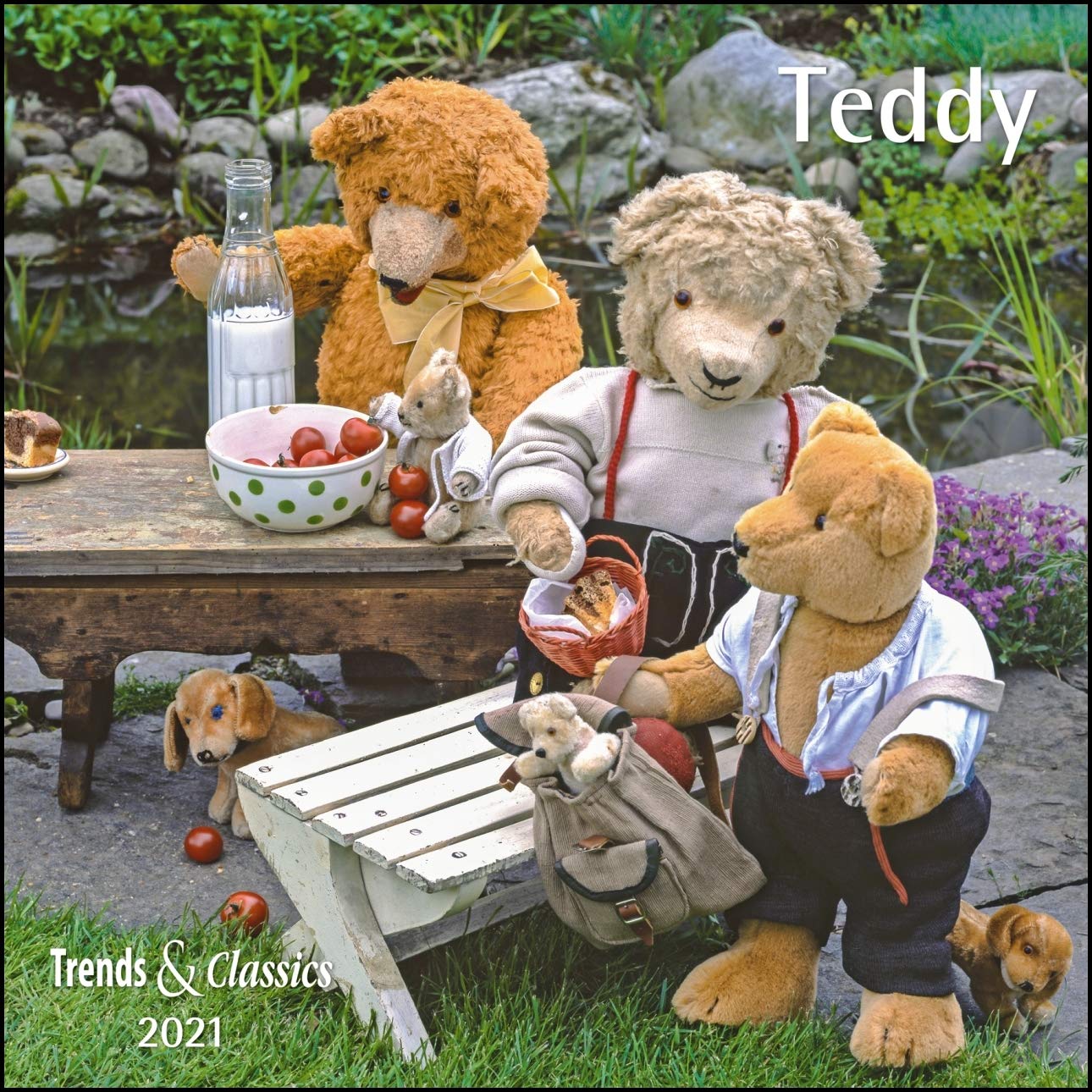 Teddy 2021 - Broschürenkalender - Wandkalender - mit herausnehmbarem Poster - Format 30 x 30 cm Hobbies & Crafts