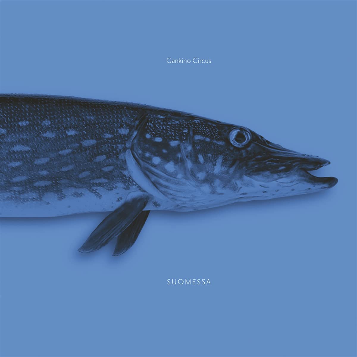 Suomessa World Music