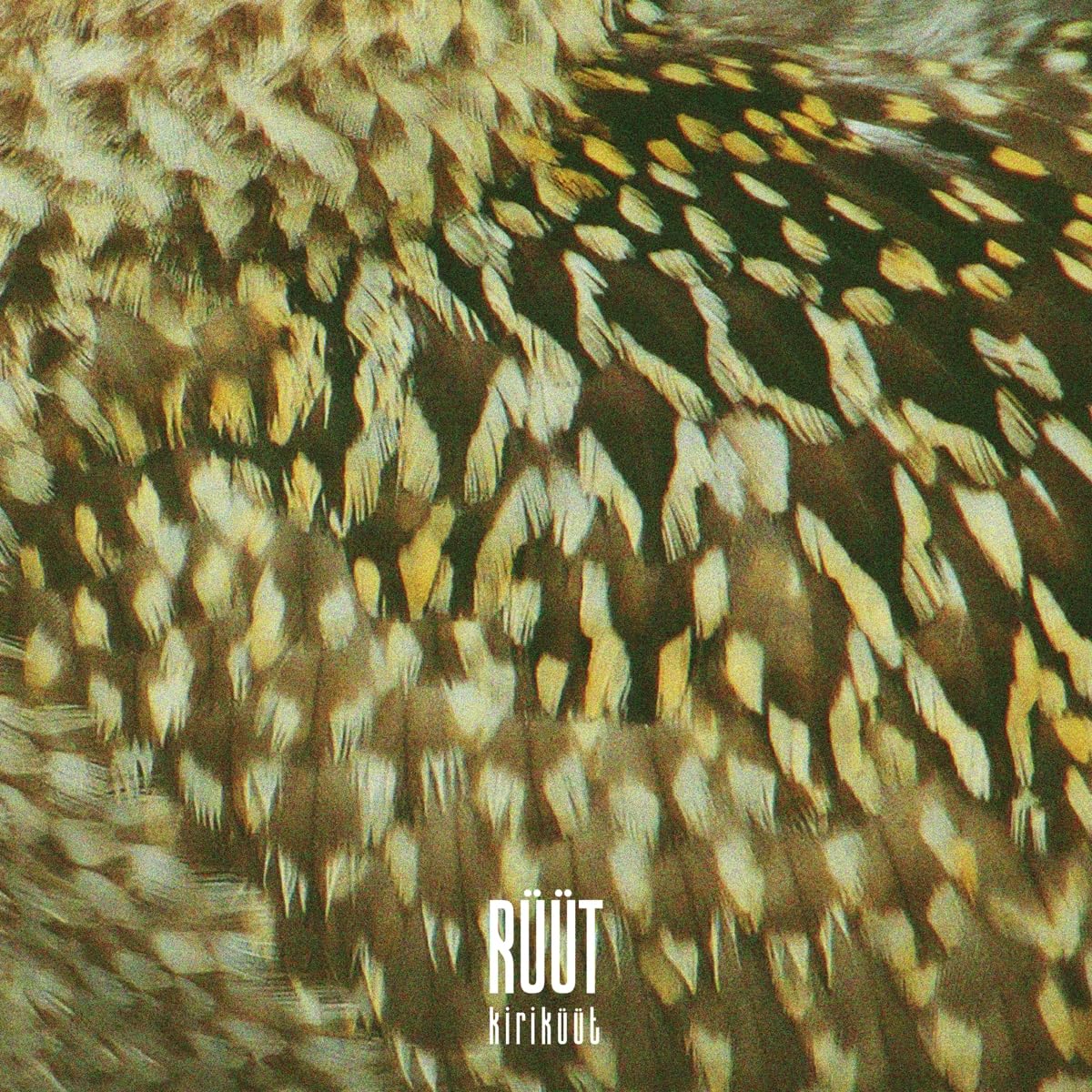 Kiriküüt World Music