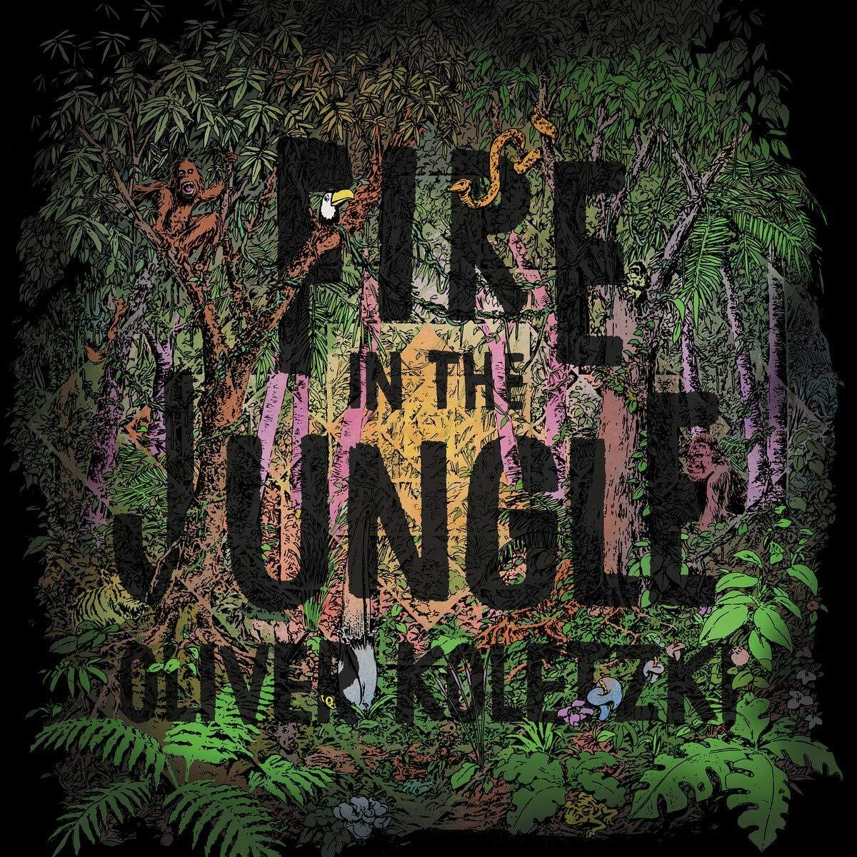 Fire In The Jungle (CD+MP3) Dance & Electronic