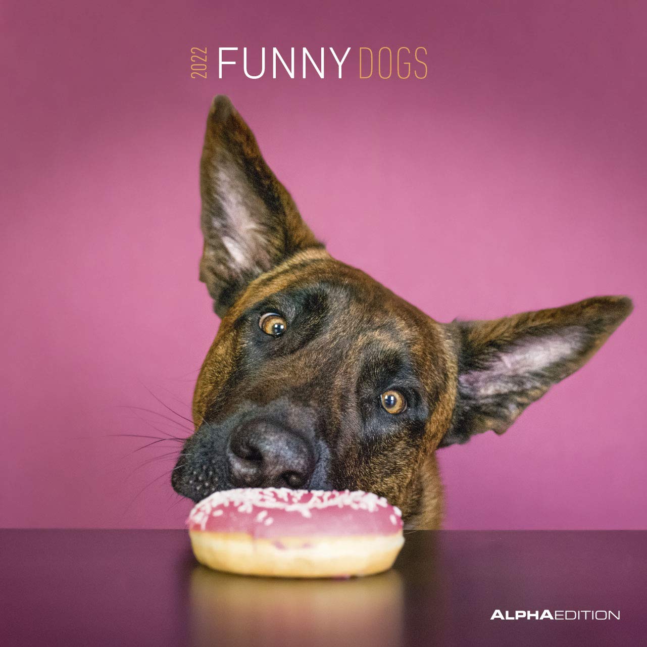 Funny Dogs 2022 - Broschürenkalender 30x30 cm (30x60 geöffnet) - Kalender mit Platz für Notizen - Hunde - Bildkalender - Wandkalender - Hundekalender: ... Broschüren-Kalender - 30x30 - 30x60 geöffnet Pets