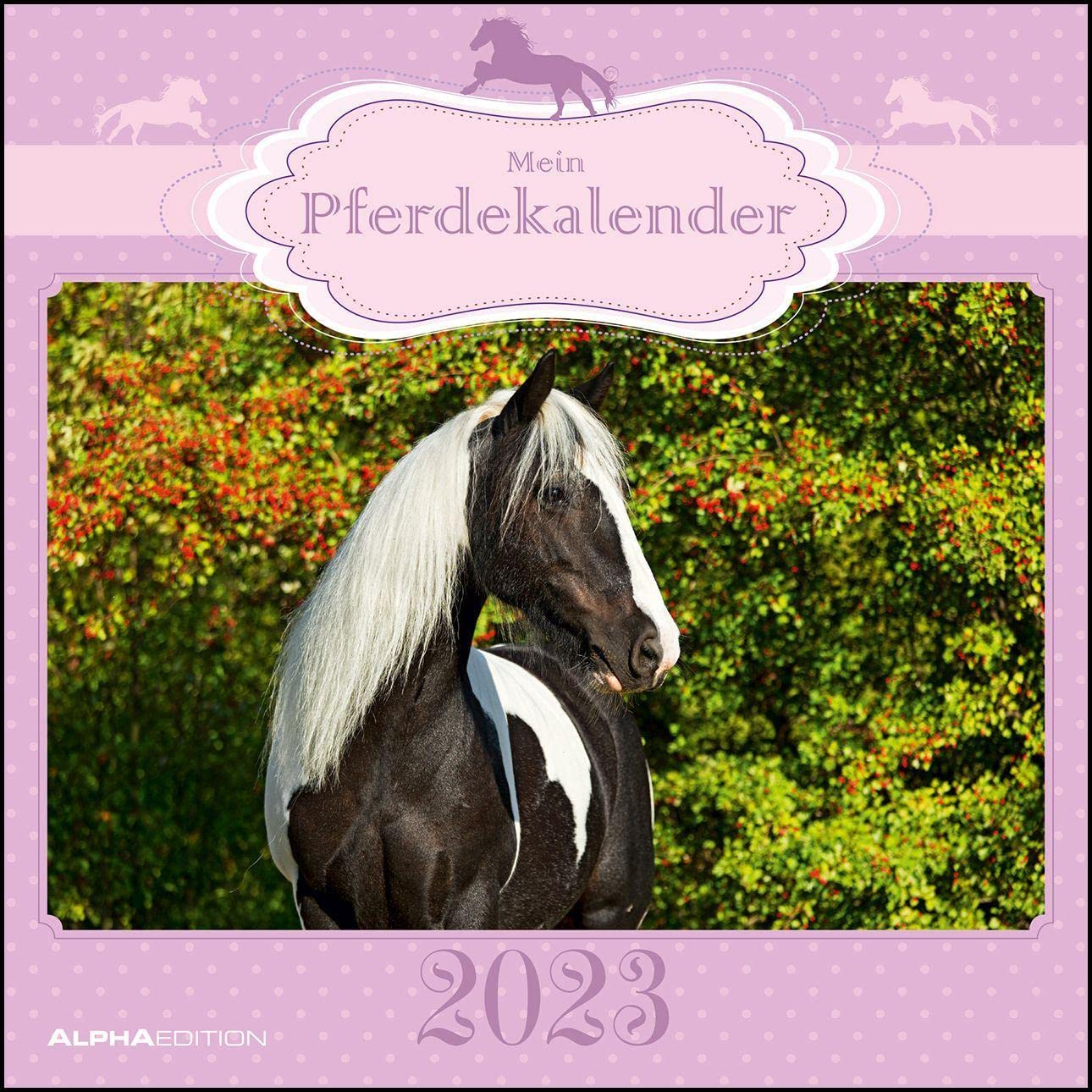 Mein Pferdekalender 2023 - Broschürenkalender 30x30 cm (30x60 geöffnet) - Kalender mit Platz für Notizen - Bildkalender - Wandplaner - Wandkalender Leisure, Home & Garden