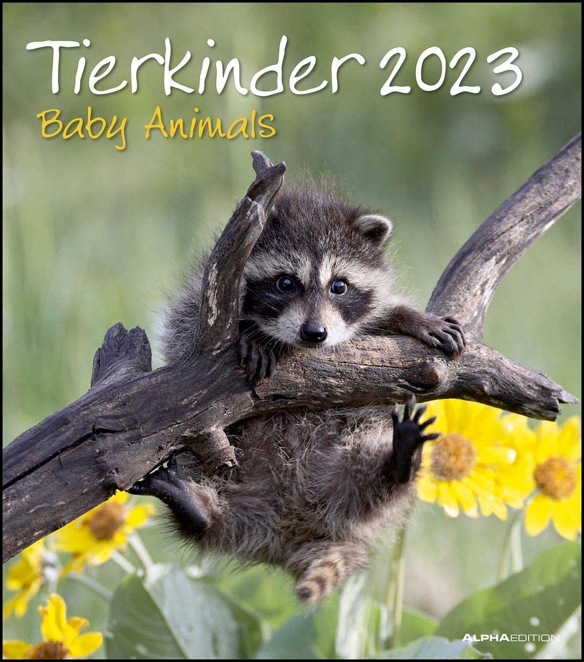 Tierkinder 2023 - Wand-Kalender - 30x34: Baby Animals Calendars