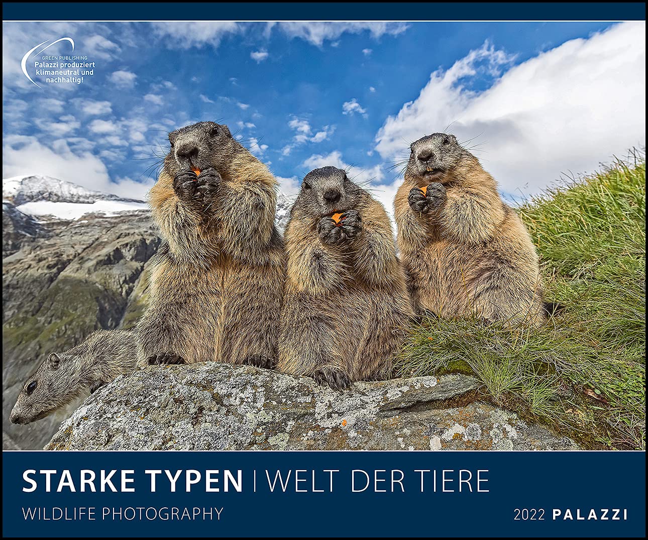 Starke Typen 2022 - Bild-Kalender - Poster-Kalender - 60x50: Wildlife Photography Leisure, Home & Garden
