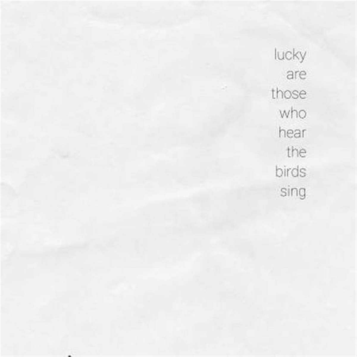 Lucky Are Those Who Hear the Birds Sing (LP) Dance & Electronic