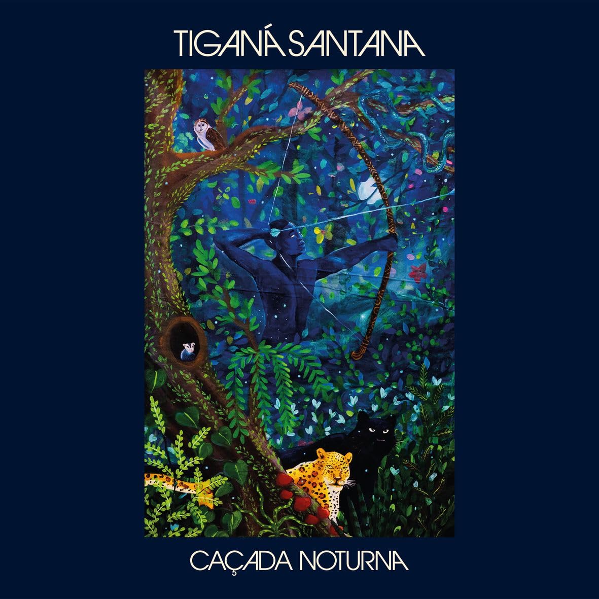 Cacada Noturna (Vinyl) cd