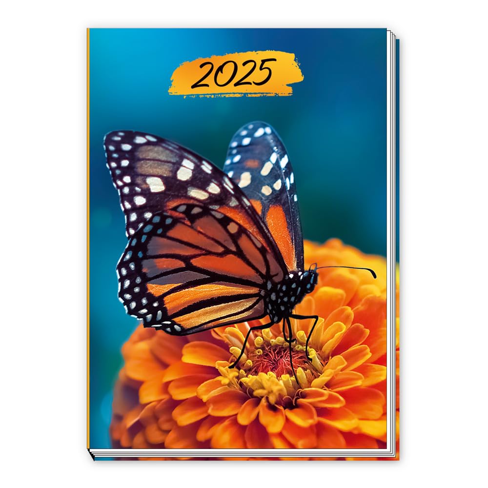 Trötsch Taschenkalender A7 Schmetterling 2025: Mini-Terminkalender Calendars